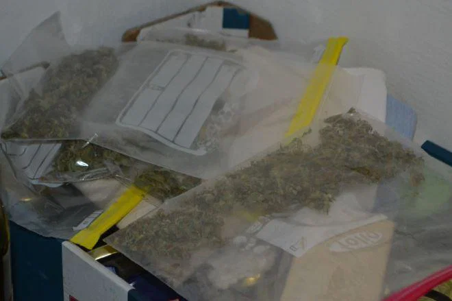 Na območju PU Celje zasegli dober kilogram posušenih delcev konoplje (FOTO)