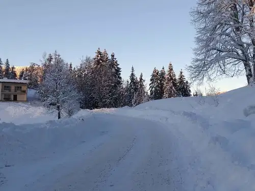 Na Koroškem se sneženje umirja, zaprtih več cest in šola Ojstrica