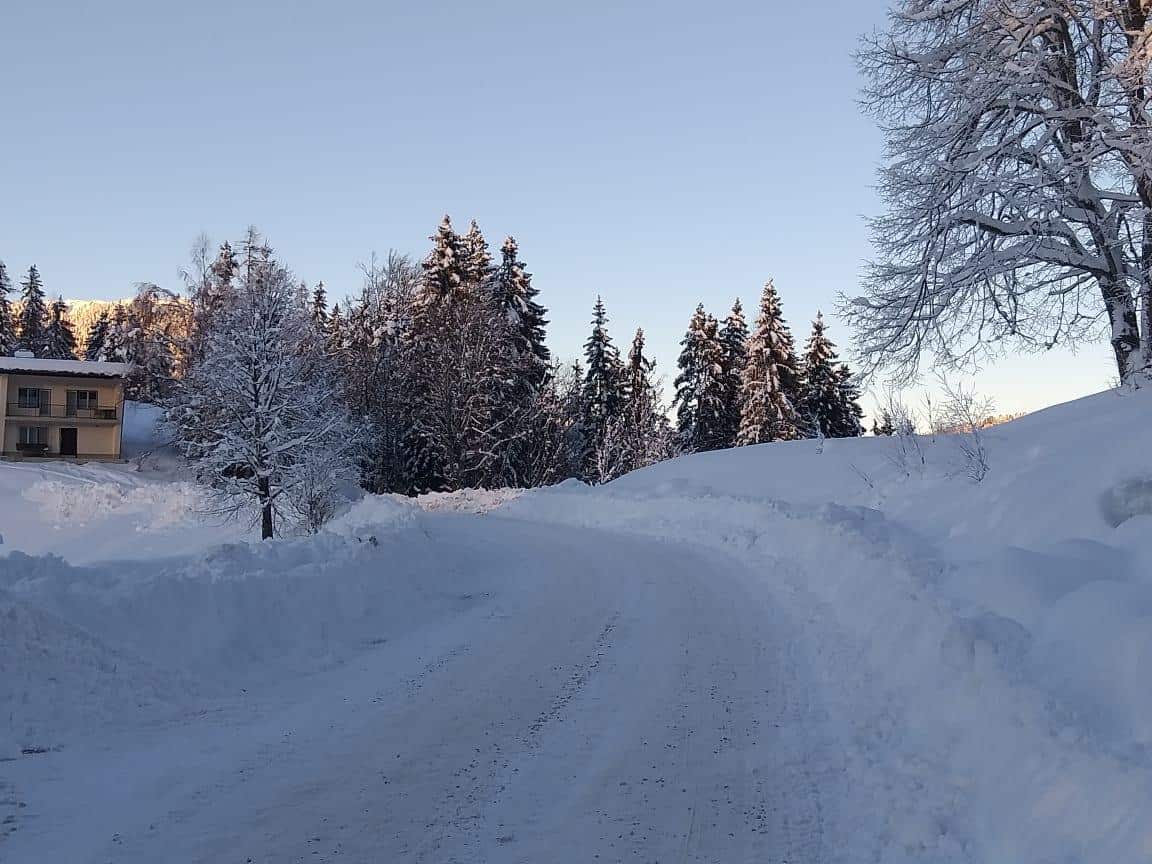 Na avstrijskem Koroškem zaradi snega težave v prometu. 3000 gospodinjstev ostalo brez elektrike