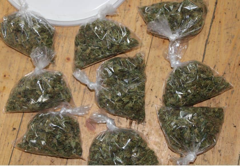 Policisti celjskemu srednješolcu zasegli več pirotehničnih izdelkov. 61-letniku pa tri dobre kilograme konoplje (FOTO)