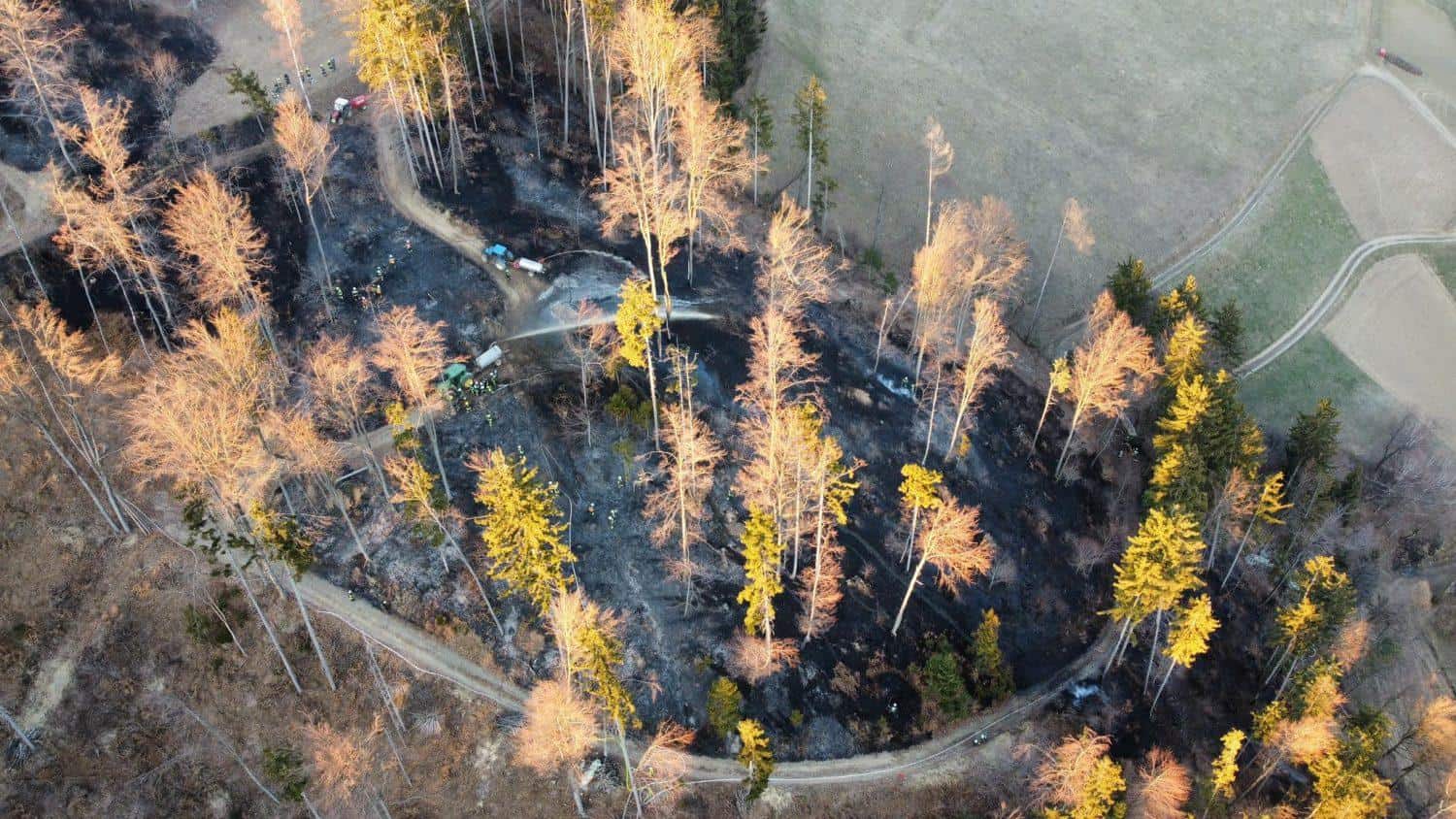 Gozdni požar na območju Dravograda gasilo okoli 100 gasilcev. Zagorelo tudi na Muti (VIDEO in FOTO)