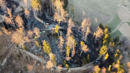 Gozdni požar na območju Dravograda gasilo okoli 100 gasilcev. Zagorelo tudi na Muti (VIDEO in FOTO)