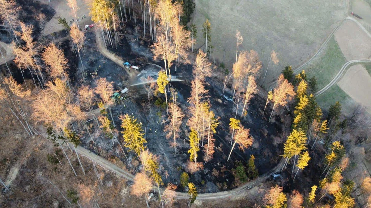 Gozdni požar na območju Dravograda gasilo okoli 100 gasilcev. Zagorelo tudi na Muti (VIDEO in FOTO)