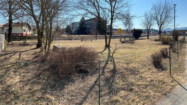 V Slovenj Gradcu na novi lokaciji uredili igrišče za kužke (FOTO)