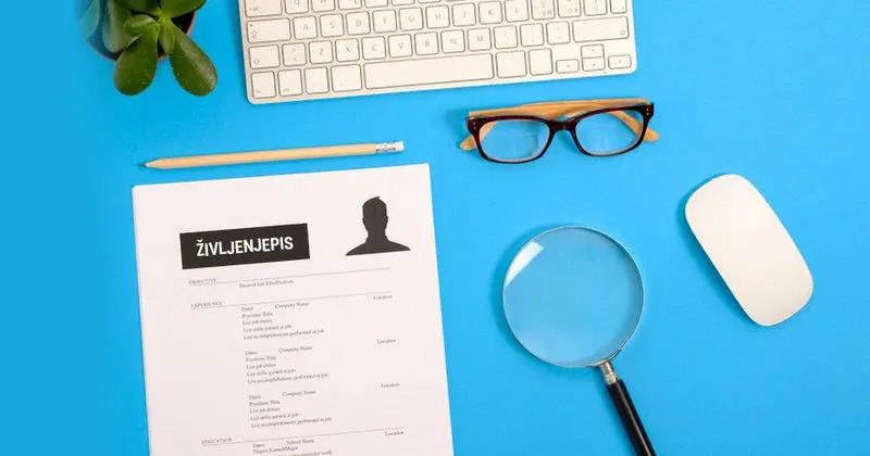 Novo leto, nov CV – kaj sodi v življenjepis in kaj ne?
