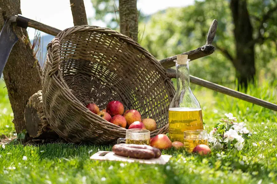 Zlato jabolko za najboljši slovenski jabolčnik na Koroško
