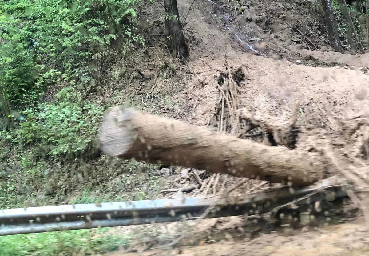 Vreme preglavice pozvročalo tudi na Koroškem