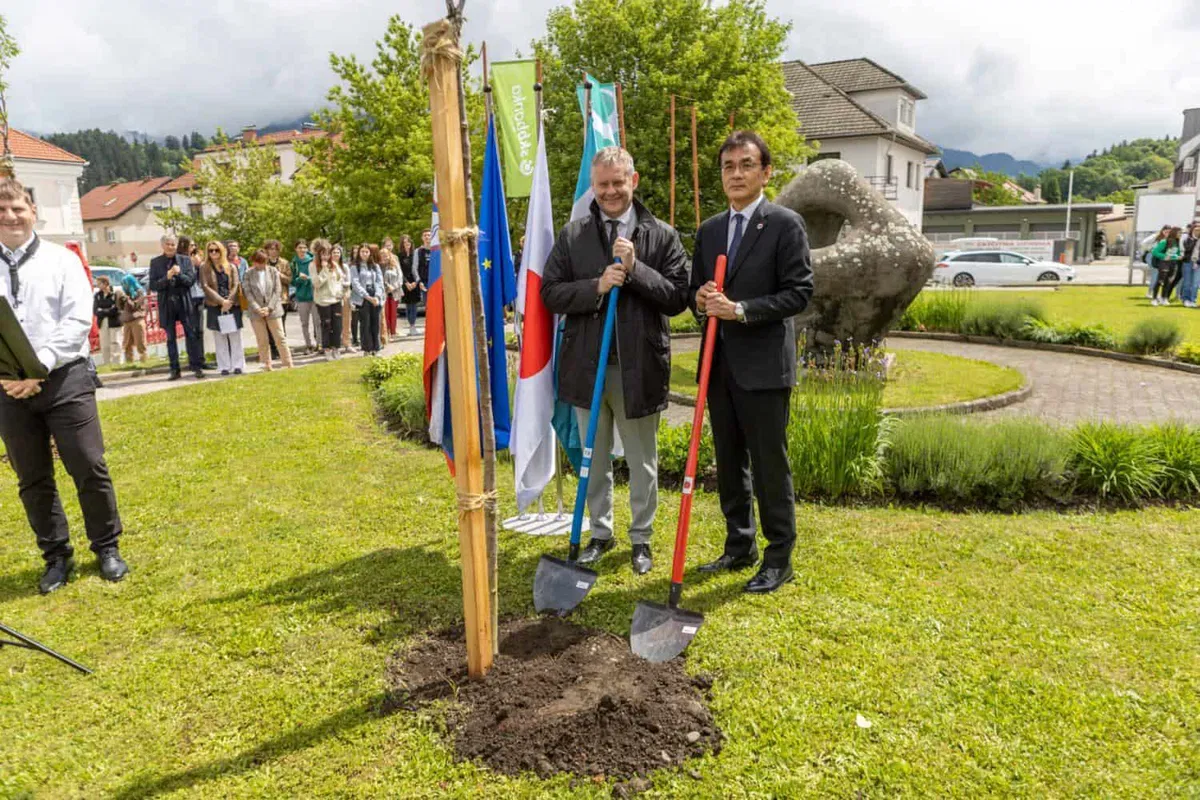 Slovenj Gradec ta teden v znamenju japonskega filma in povezovanja z Japonsko. Danes posadili japonske češnje (VIDEO in FOTO)