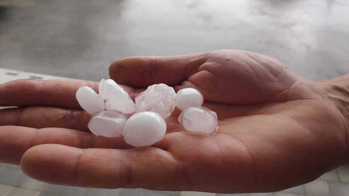 Neurje s točo se je proti večeru že razbesnelo v okolici Celja. Nevihtna fronta bo Slovenijo predvidoma dosegla in prešla okoli polnoči