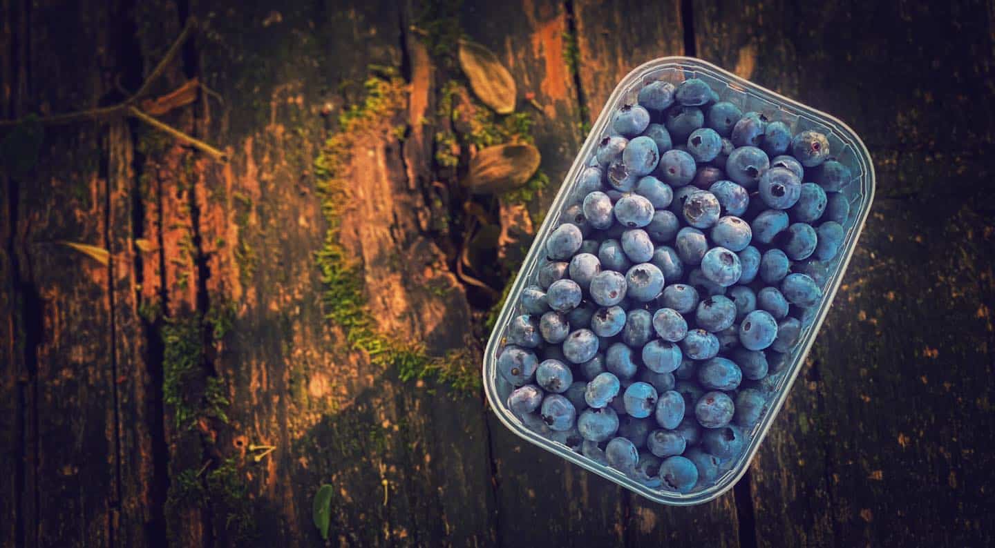 Ste jih že poskusili? Odlične ameriške borovnice pridelane na Koroškem vam dostavijo tudi na dom