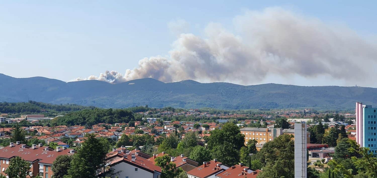 Mineva leto dni od najbolj uničujočega gozdnega požara v zgodovini samostojne Slovenije