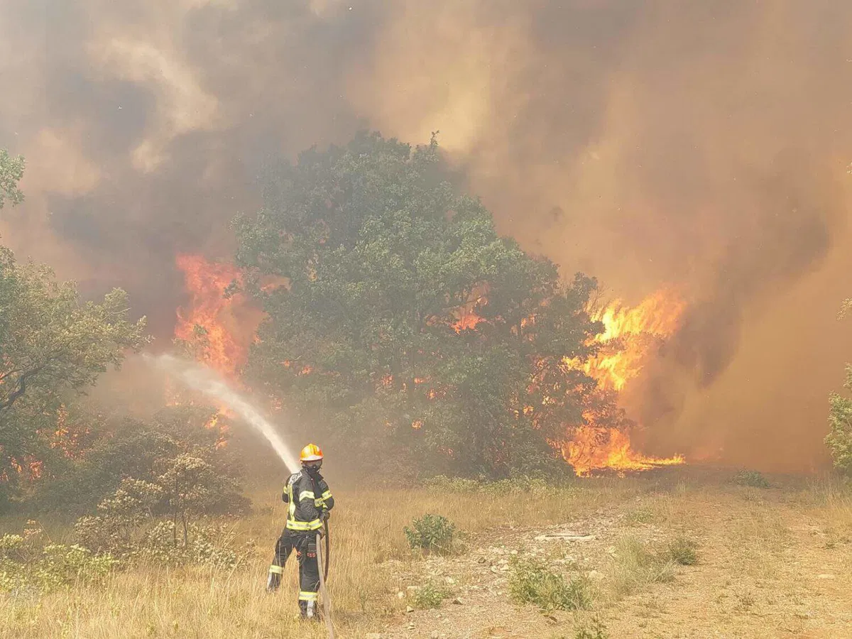 Koroški gasilci na Krasu: "Na terenu je zelo hudo, naredili smo umik, štele so sekunde"