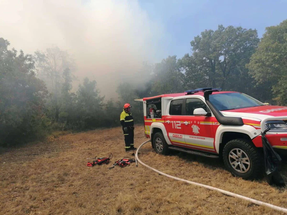 Vlada za gašenje požara na Krasu sodelujočim organizacijam namenila skoraj 70.000 evrov