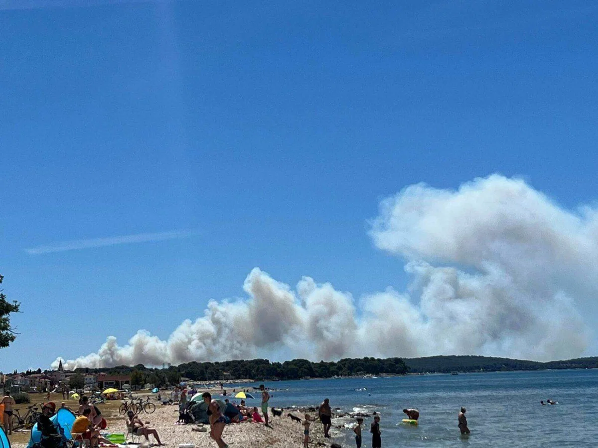 V Pulju izbruhnil obsežen požar, večji del mesta brez elektrike (FOTO)