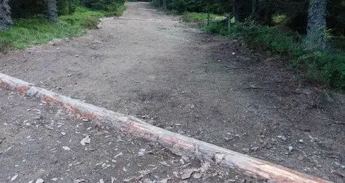 Dokončana je sanacija gozdne vlake na trasi priljubljene planinske poti na Pohorju. Vožnja z motornimi vozili je prepovedana