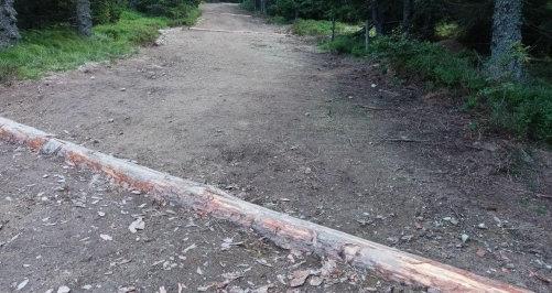 Dokončana je sanacija gozdne vlake na trasi priljubljene planinske poti na Pohorju. Vožnja z motornimi vozili je prepovedana