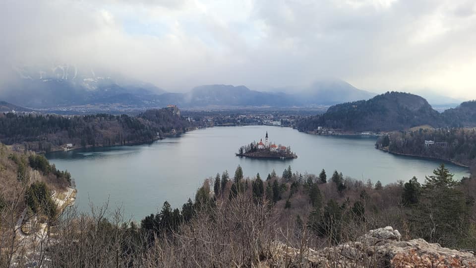Arso na Bledu potrdil onesnaženje vode s fekalijami