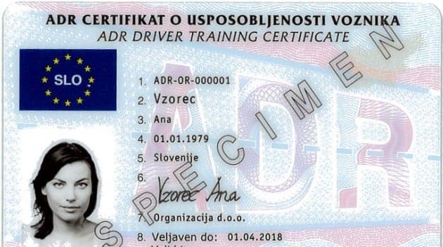 Rok za zamenjavo starih vozniških dovoljenj naj bi podaljšali