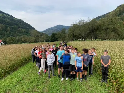 Dravograjski učenci spoznali tehnologijo pridelave ajde in okušali ajdove jedi (FOTO)