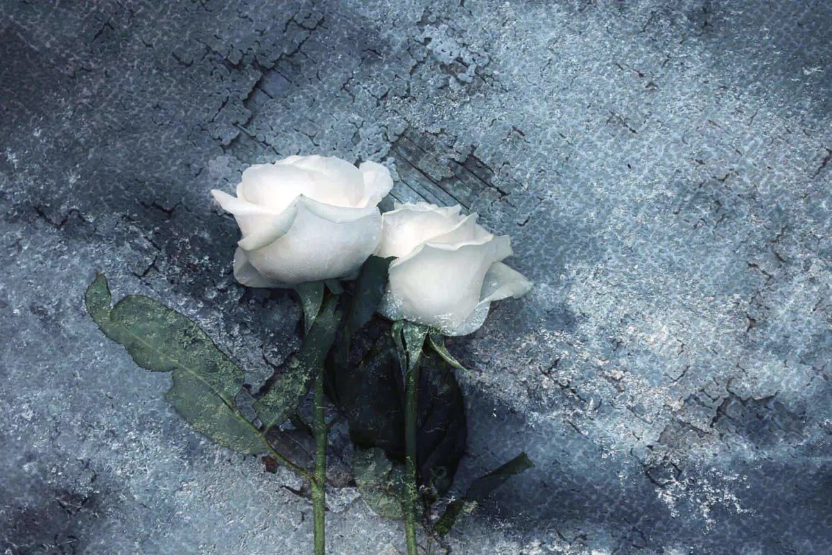 Na Koroškem lani zaradi samomora umrlo 15 oseb