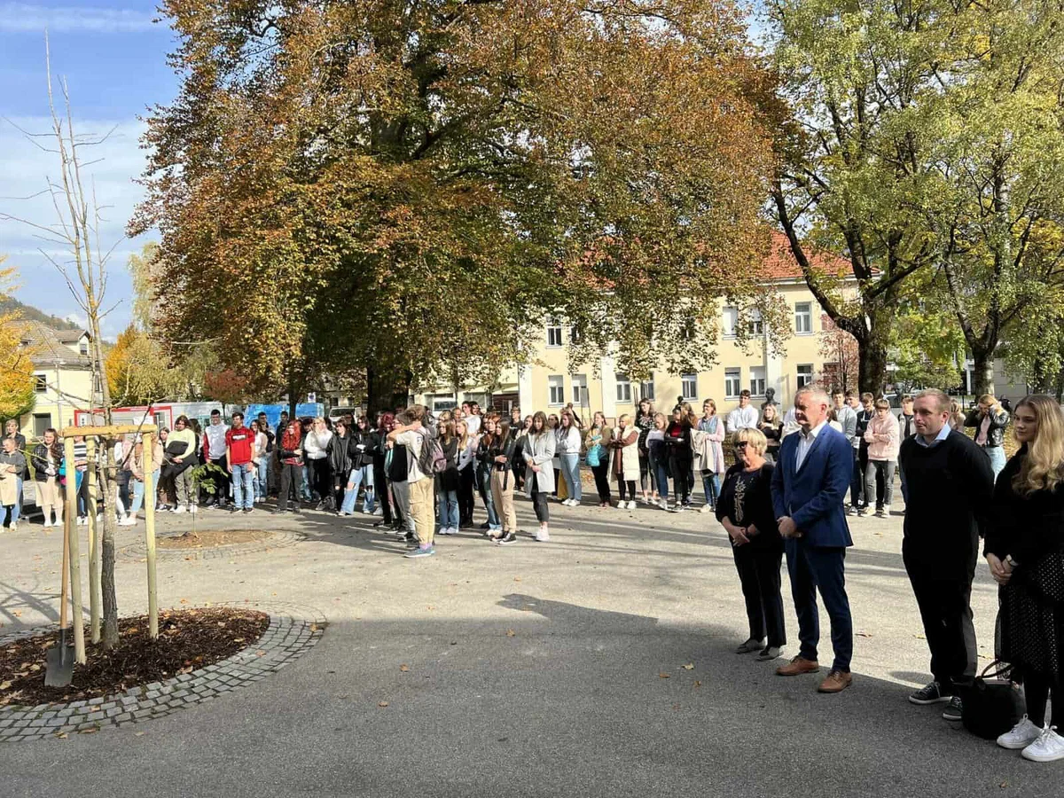 V Slovenj Gradcu ob dnevu OZN posadili drevo, ki bo krasilo park pred gimnazijo