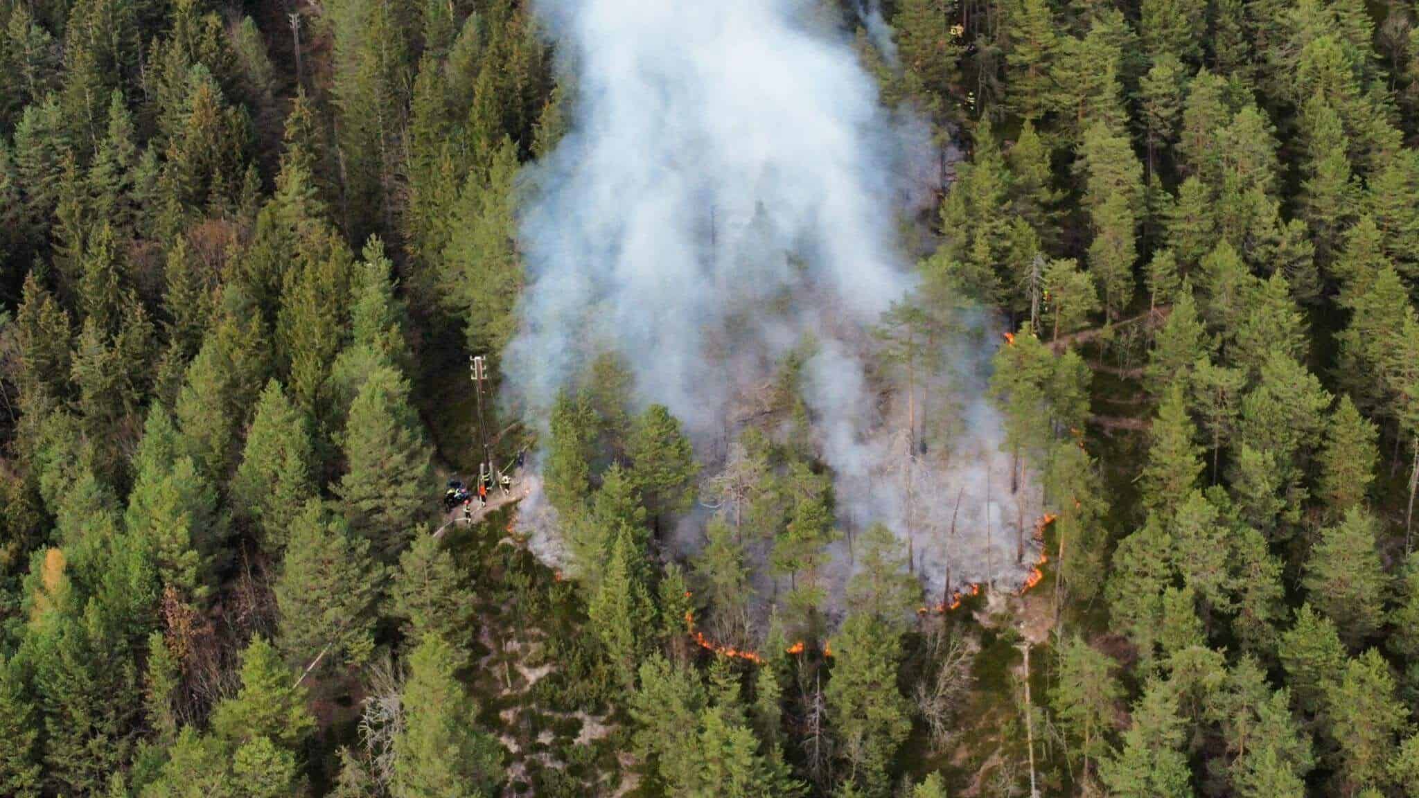 Mežica: Gorelo okoli hektar gozda in podrasti (VIDEO in FOTO)