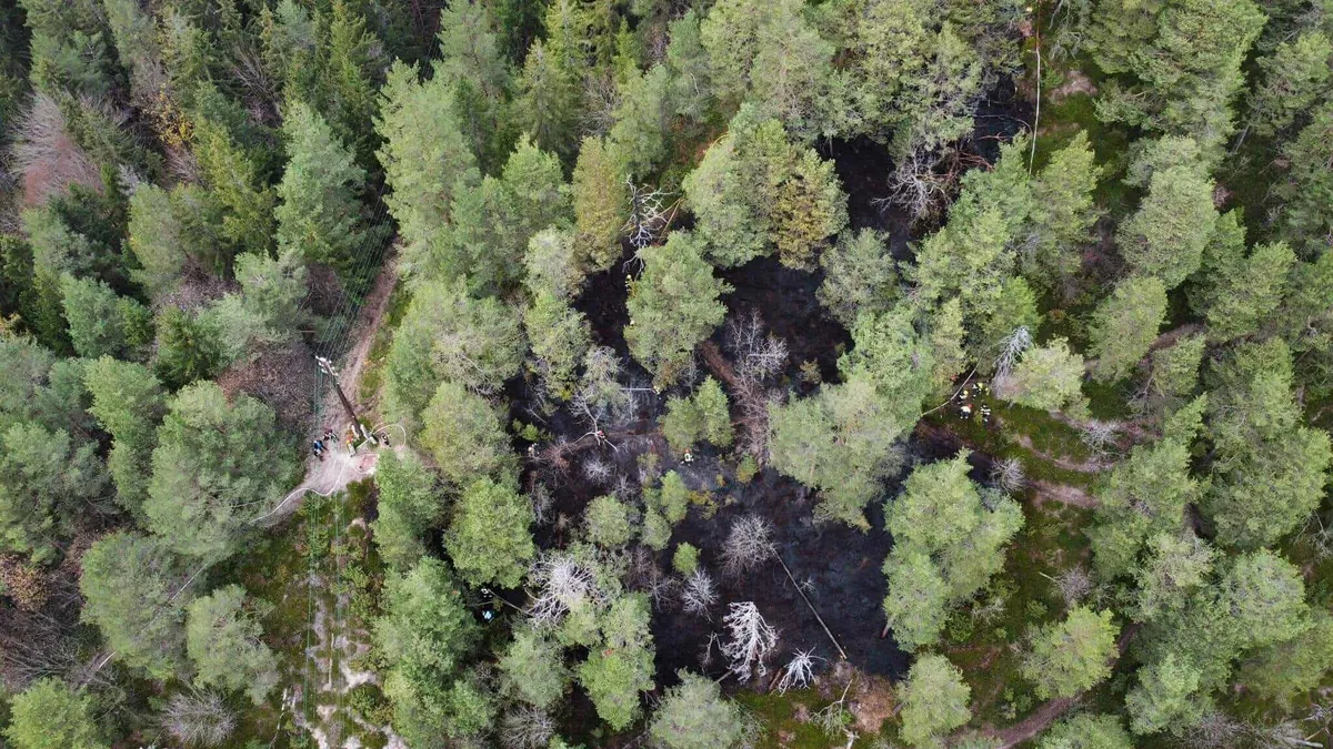 Policija nadaljuje z zbiranjem obvestili glede požara v Mežici, kjer je ogenj uničil približno hektar gozda