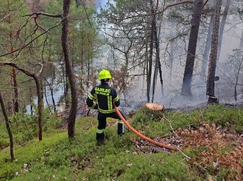 Požar v Mežici pogašen