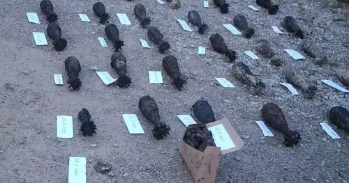 Na območju Slovenj Gradca izkopali 66 minometnih min nemške izdelave. Del najdbe so uničili (FOTO)