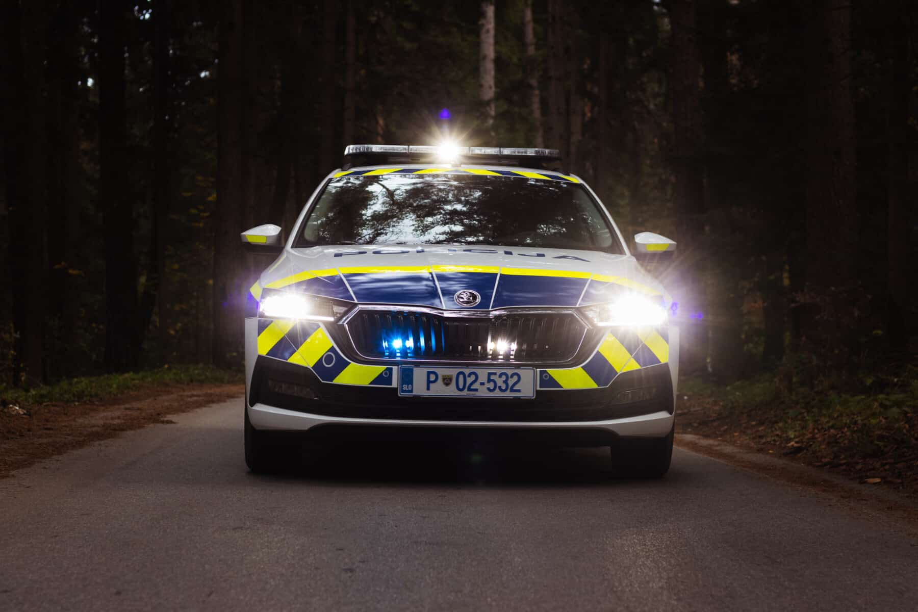 Nepridiprav se je znesel nad gostinskim objektom v Ribnici na Pohorju