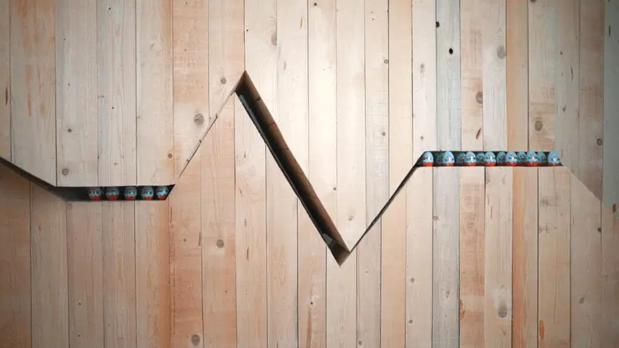 Knjižnica Radlje vabi na odprtje razstave Medprostor - Koroška 100 let pozneje