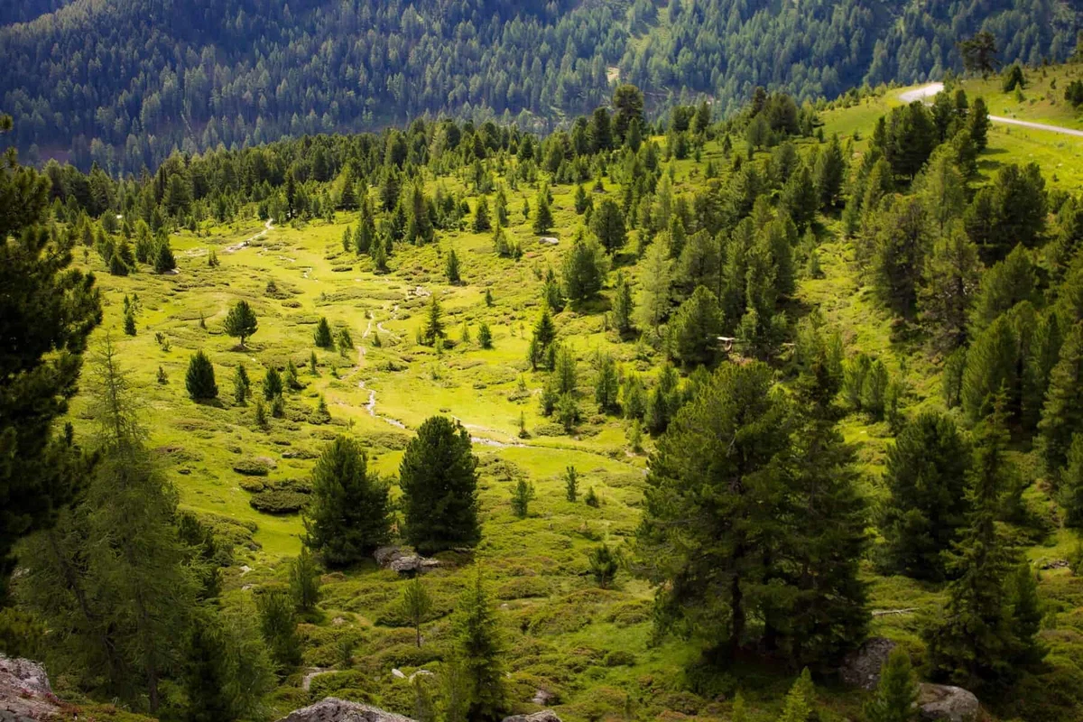 Občine v številkah: Največja občina po površini 80-krat večja od najmanjše