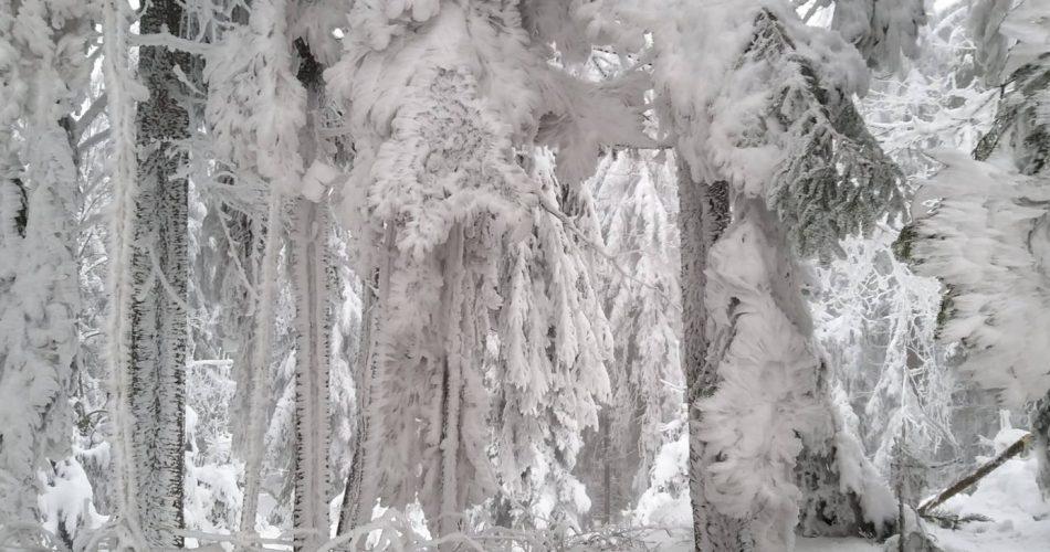 V soboto možna žled in poledica