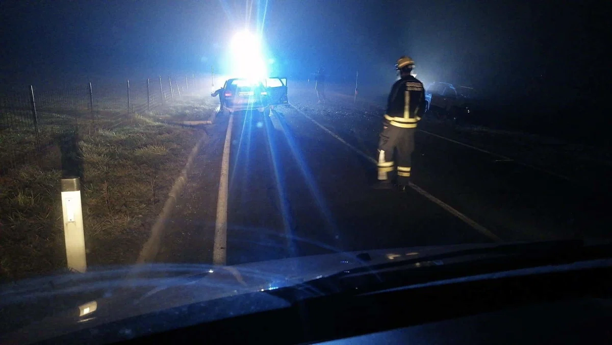 V prometni nesreči v Starem Trgu dve osebi poškodovani