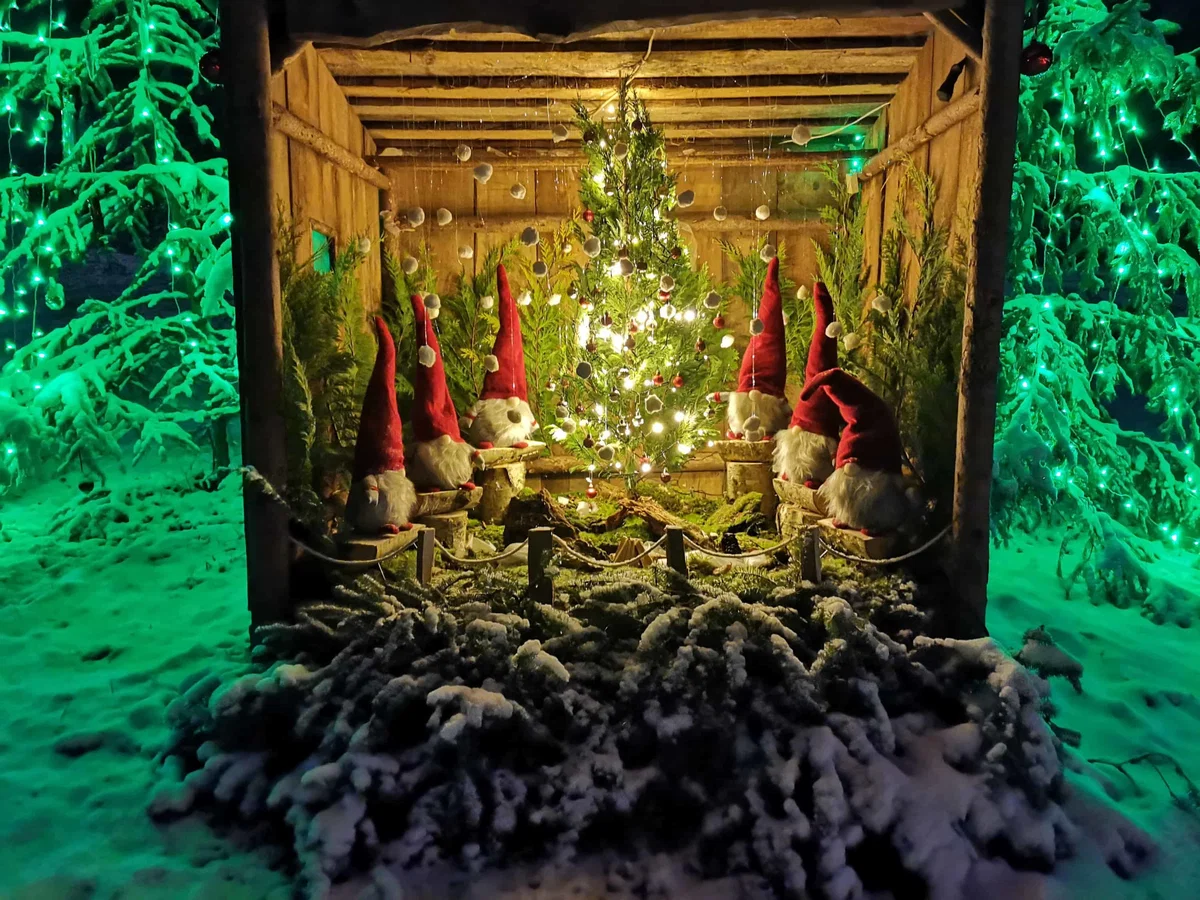 Božična vas na Gmajni je prava paša za oči. Tokrat že tretje leto zapored.
