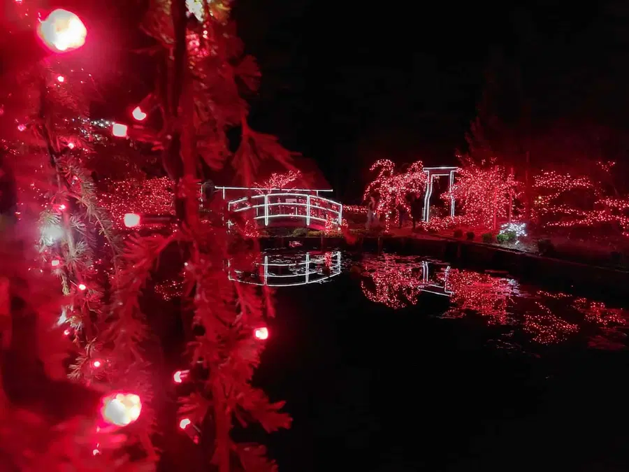 Z včerajšnjim dnem je Božična bajka Slovenije v Mozirskem gaju zaprla svoja vrata