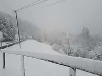 Previdno: Zaradi snegoloma cesta na Radlpas izjemno nevarna