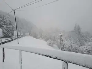 Previdno: Zaradi snegoloma cesta na Radlpas izjemno nevarna