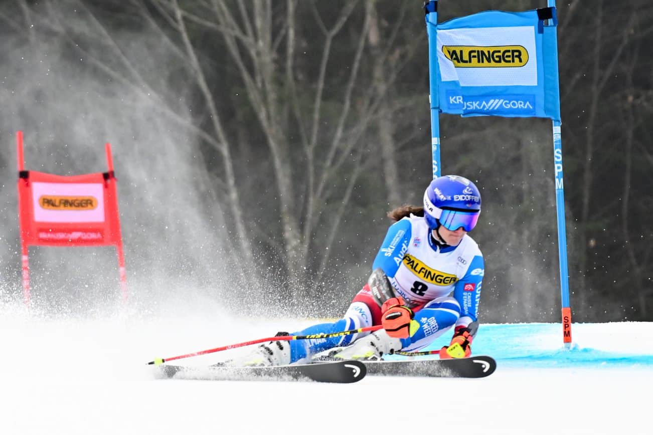 Ta vikend je na sporedu že 59. tekmovanje za Zlato lisico