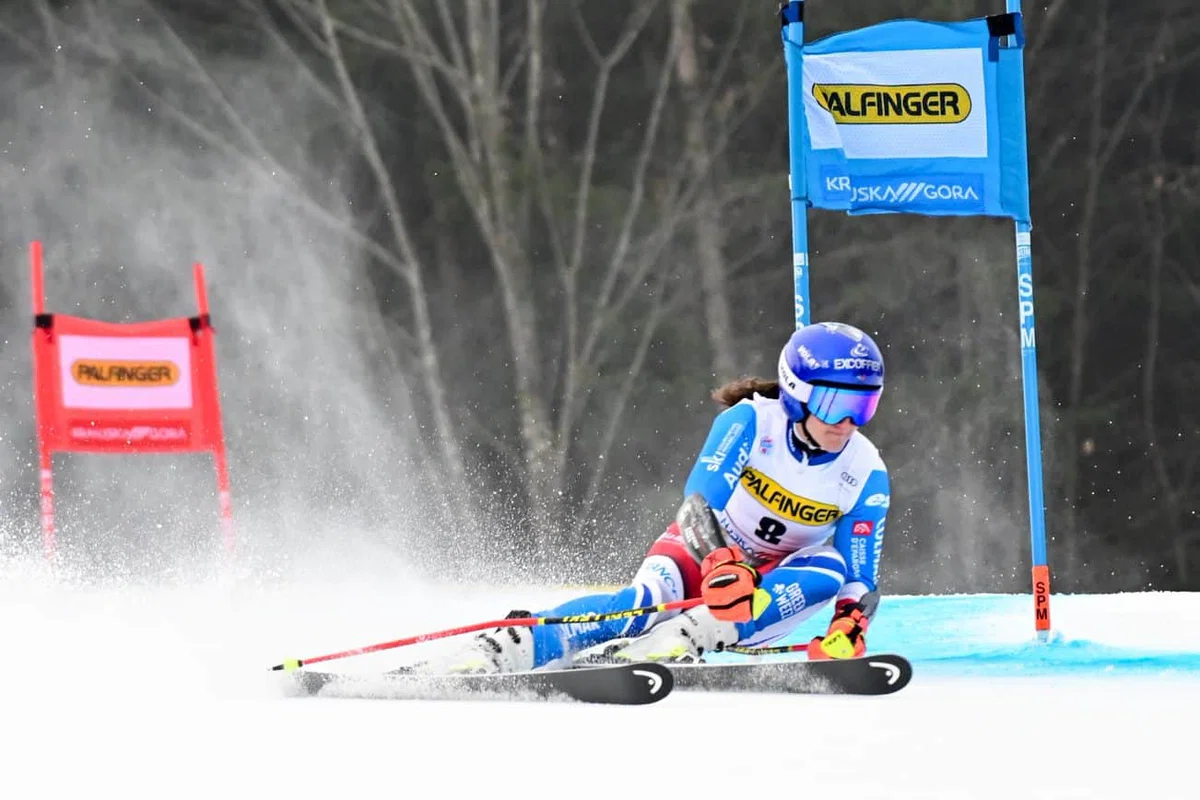 Ta vikend je na sporedu že 59. tekmovanje za Zlato lisico