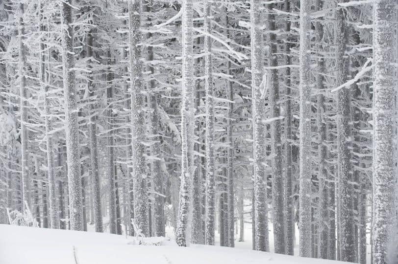 Za vikend prihaja sneg. Kje ga bo zapadlo največ?
