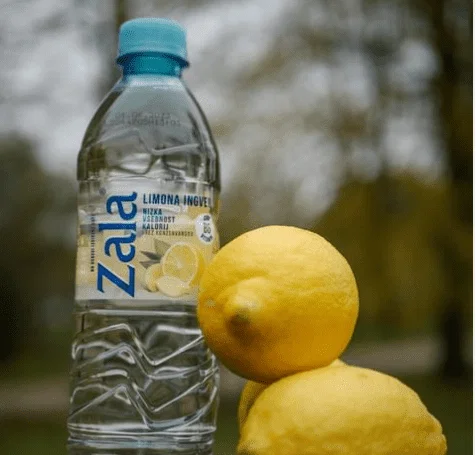 Blagovni znamki Sola in Zala v hrvaške roke. Brez dela naj bi ostalo 70 delavcev