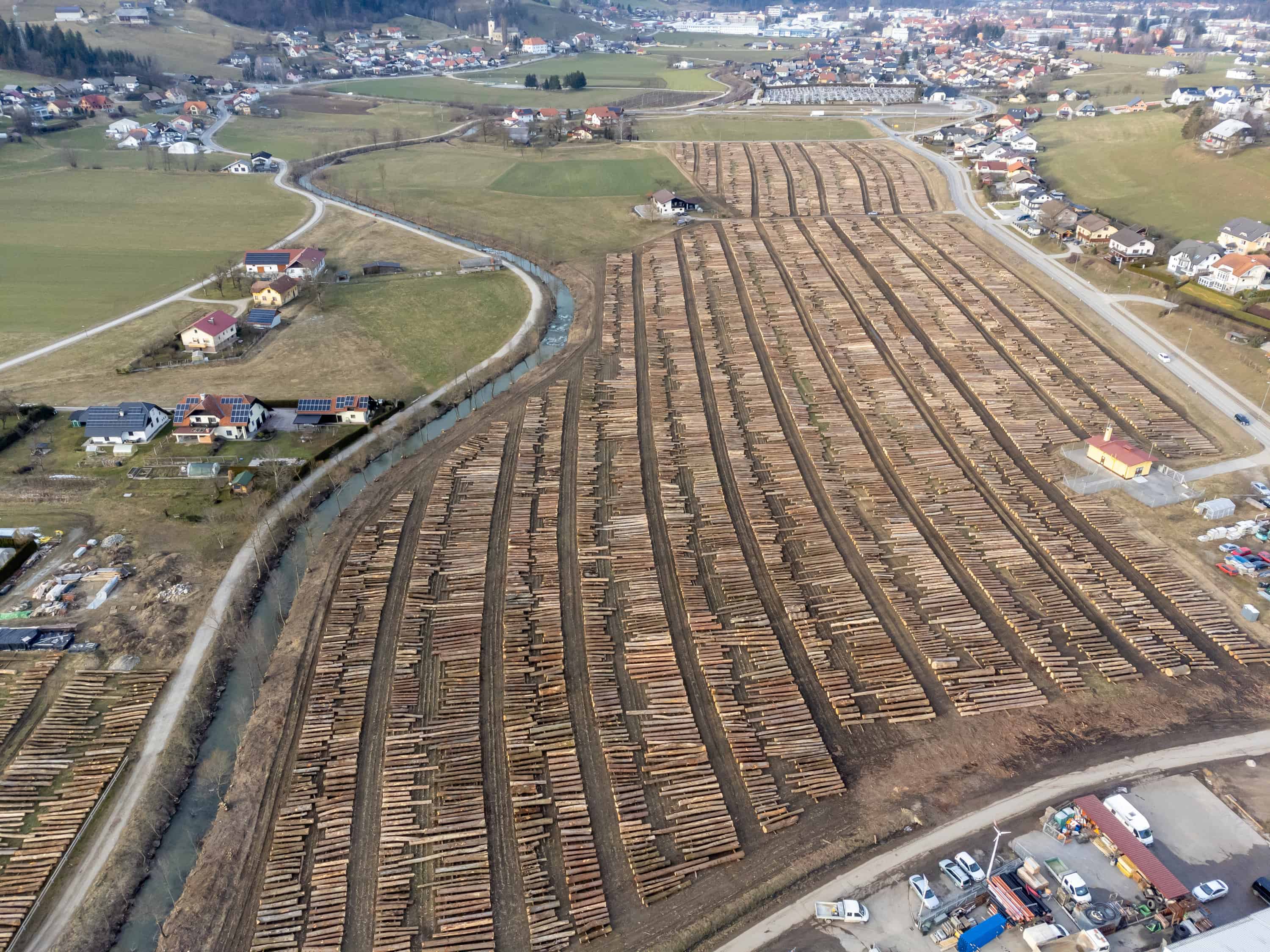 V drugem krogu licitacije lesa na Koroškem okoli tisoč kubičnih metrov hlodovine