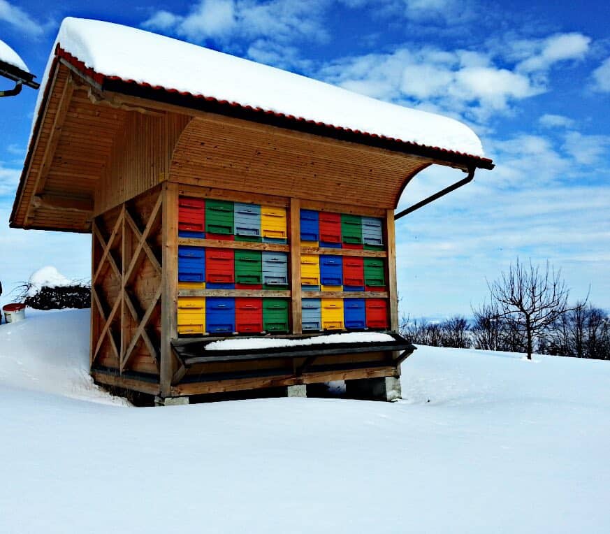 Mladi čebelarji iz Slovenj Gradca potrebujejo vašo pomoč