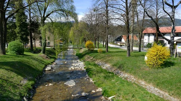 Lastniki priobalnih zemljišč ob vodotokih 2. reda so dolžni sami zagotavljati odstranjevanje odvečne zarasti na bregovih