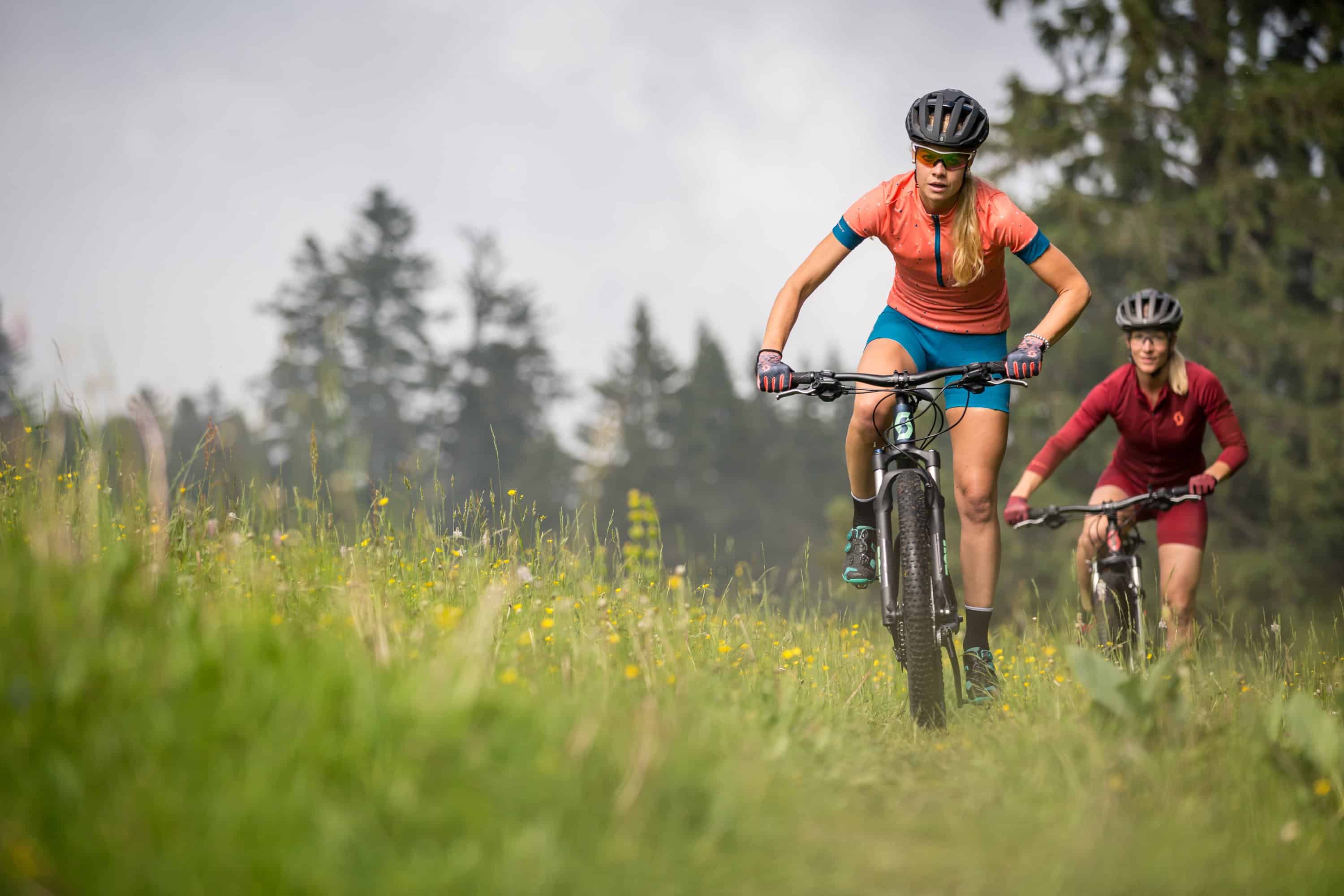 Gorsko, cestno, gravel – katero kolo naj kupim?