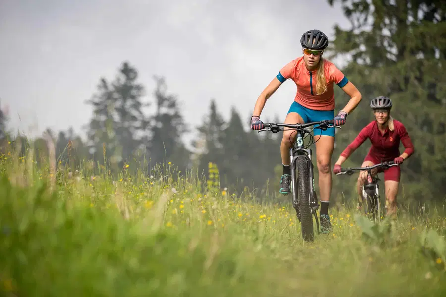 Gorsko, cestno, gravel – katero kolo naj kupim?