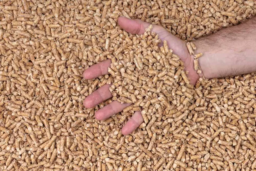 Ogrevanje s peleti. Vse, kar morate vedeti!