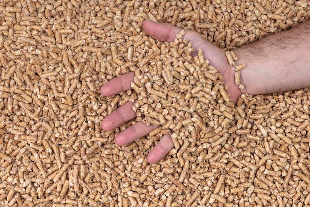 Golob napovedal umik omejitev glede ogrevanja na lesno biomaso