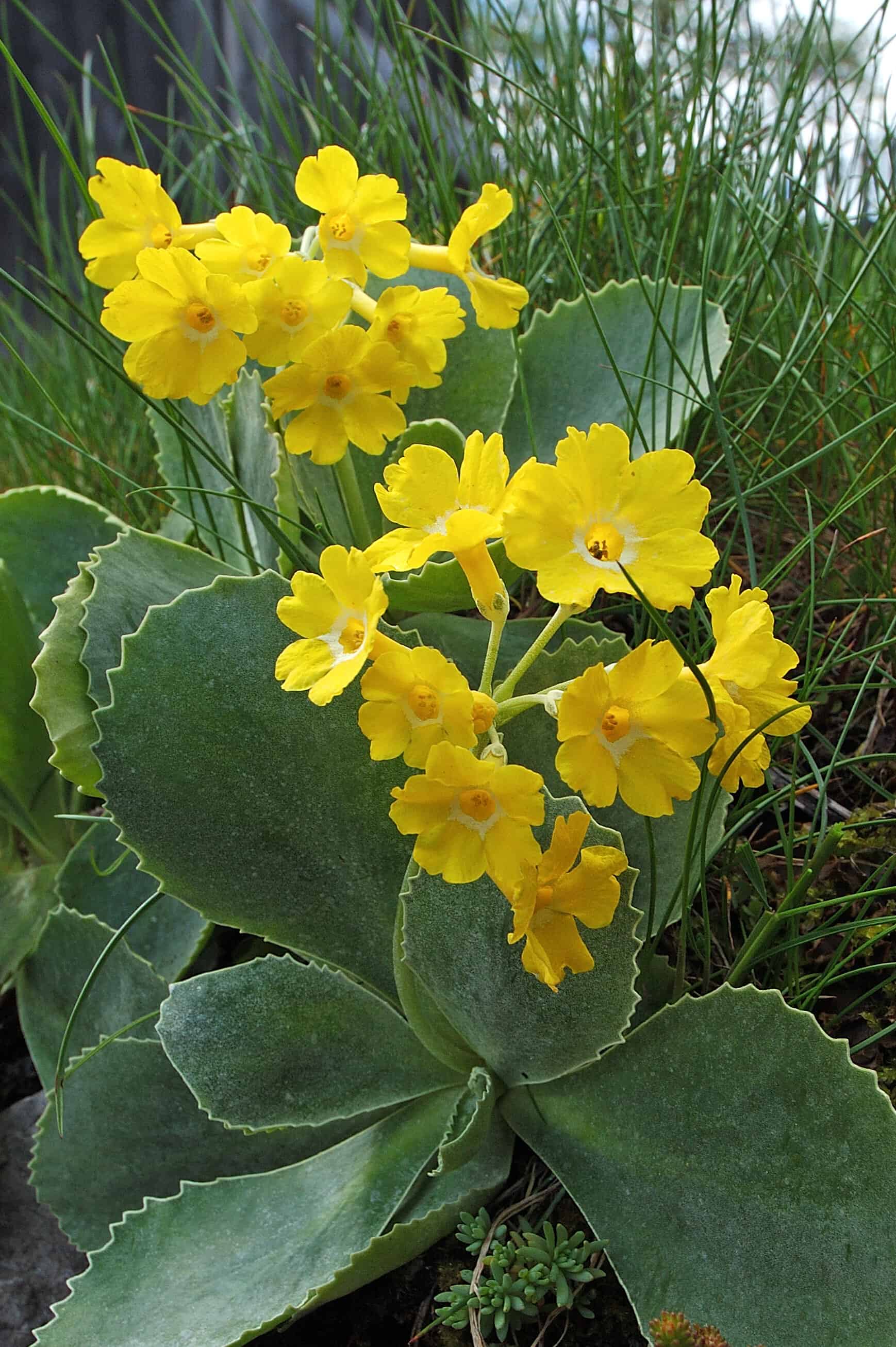 Začetek meteorološke pomladi nekoliko hladnejši, minula zima med toplejšimi